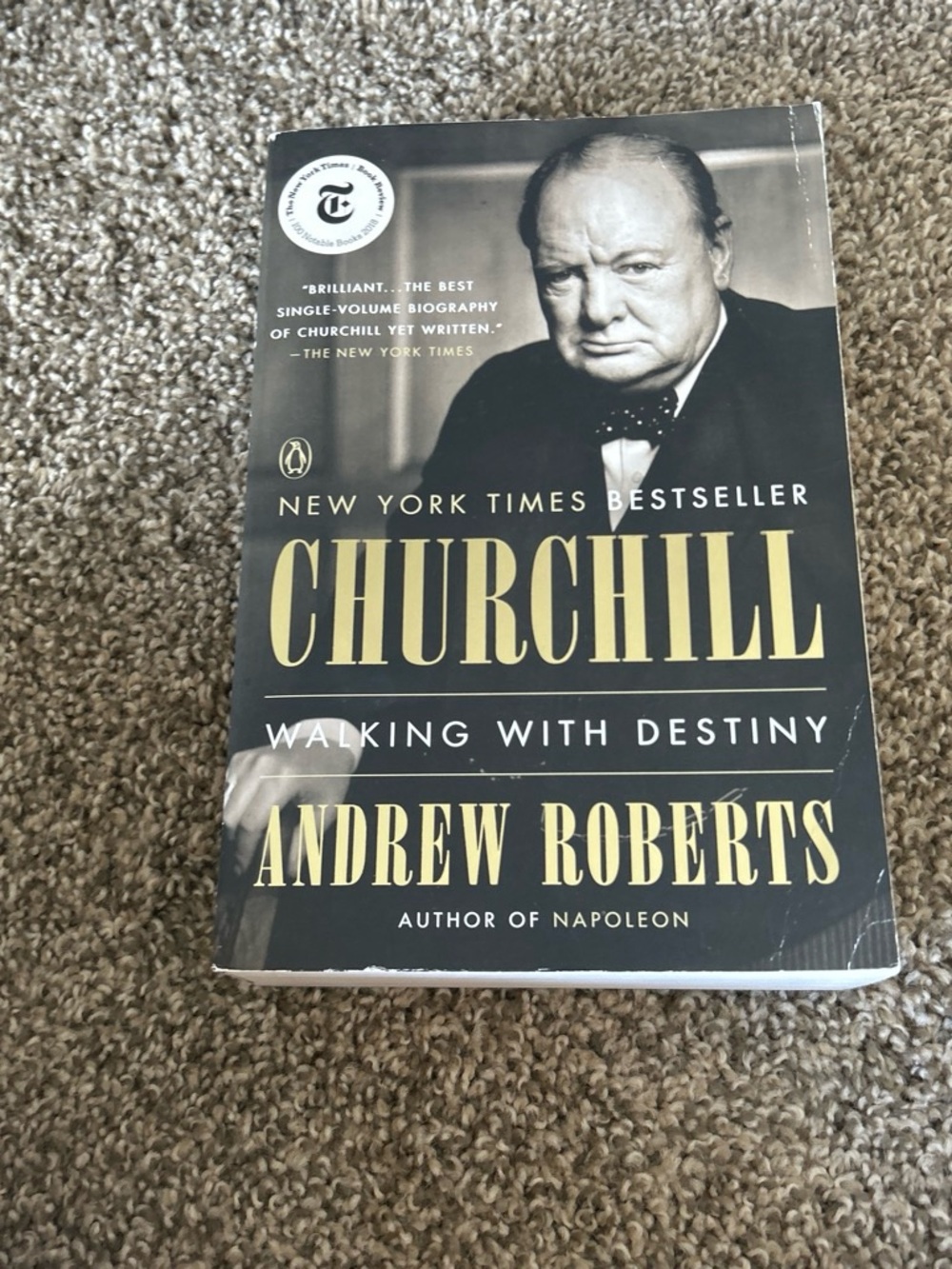 Churchill walking with destiny